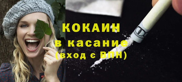 крисы Алексин