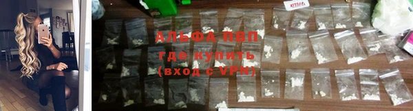 крисы Алексин