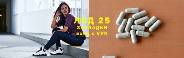крисы Алексин