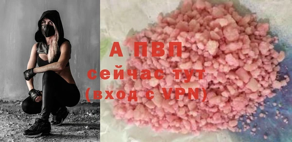 стафф Аркадак