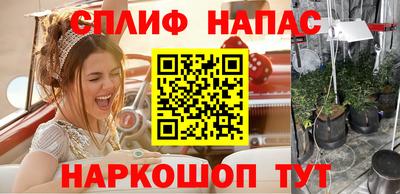 сатива Братск
